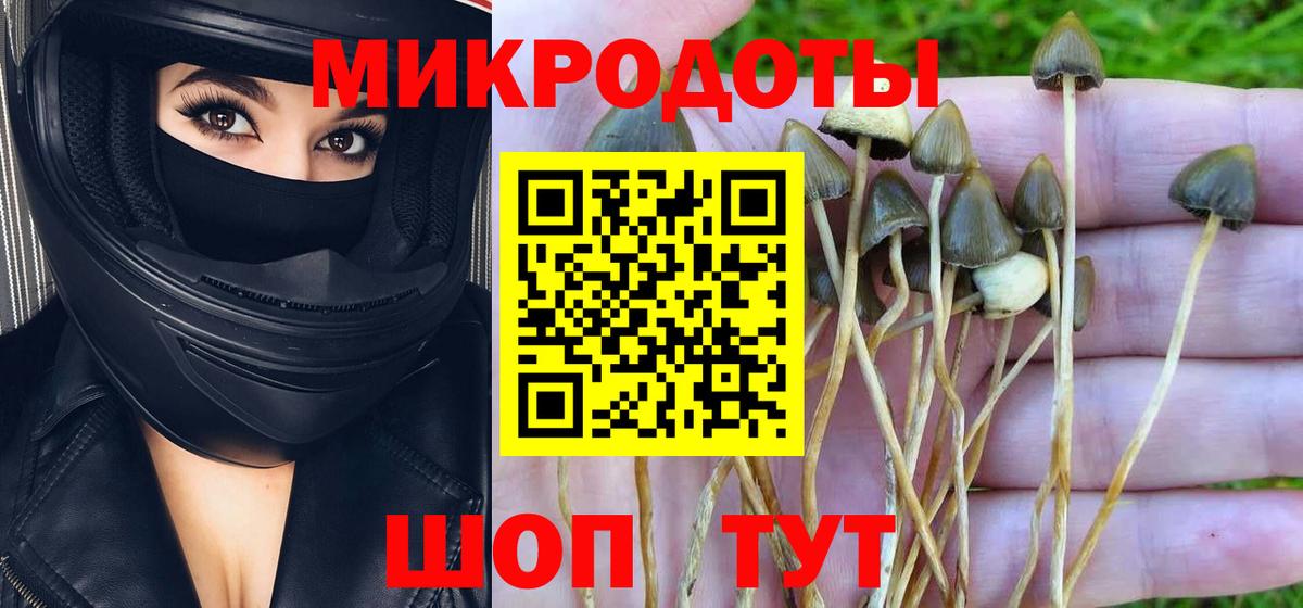Псилоцибиновые грибы GOLDEN TEACHER  Псилоцибиновые грибы Magic Shrooms  Вход с VPN  Сафоново 
