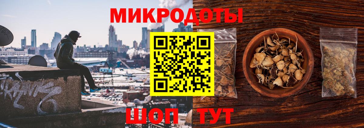Галлюциногенные грибы Cubensis Сафоново